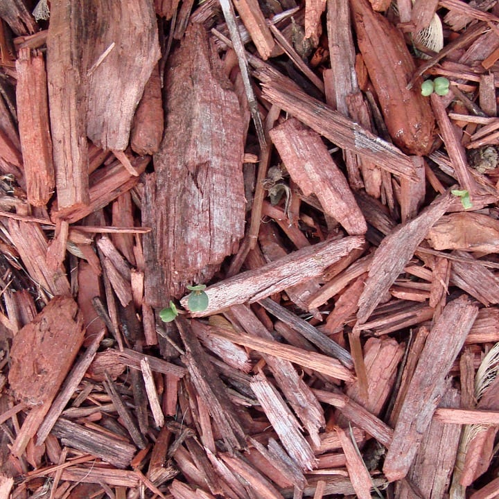 Best Time to Mulch & Importance of Mulching