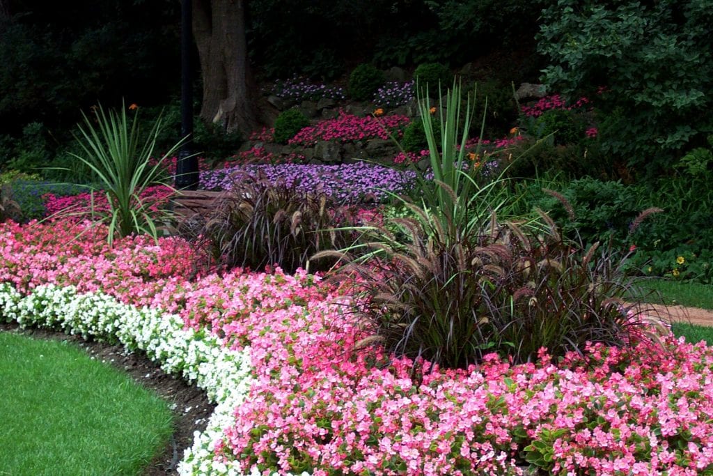 Landscaping Around Trees Ideas Arbor Hills Trees & Landscaping