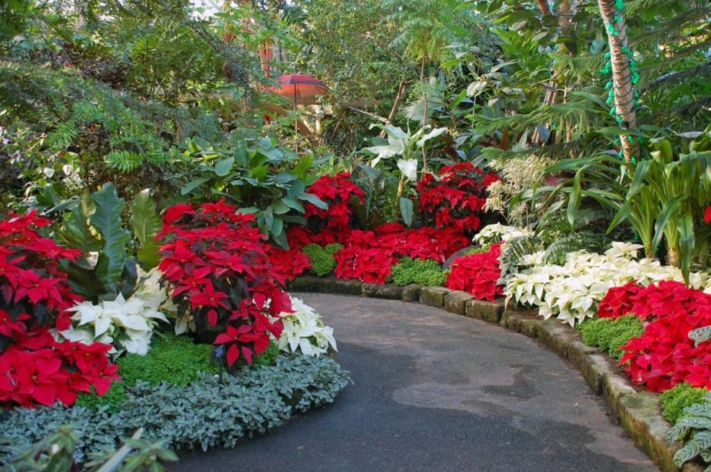 Christmas Landscaping Decorating Ideas