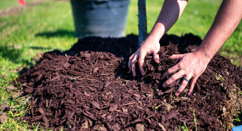 Is Rubber Mulch Better Than Wood? Arbor Hills Landscaping