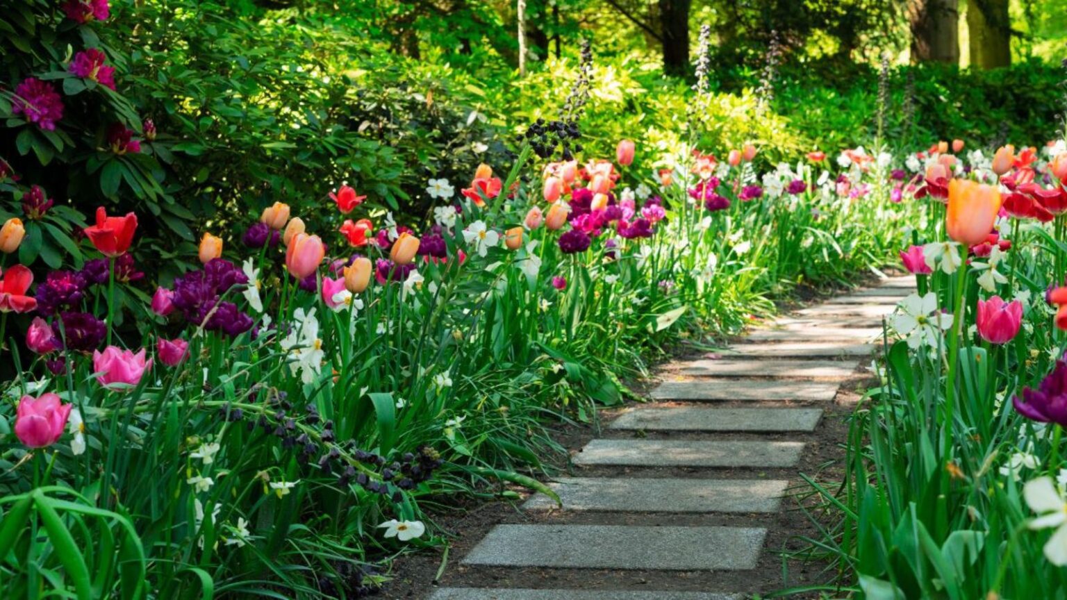 Spring Landscaping Questions: Mulching, Watering, and Yard Tips