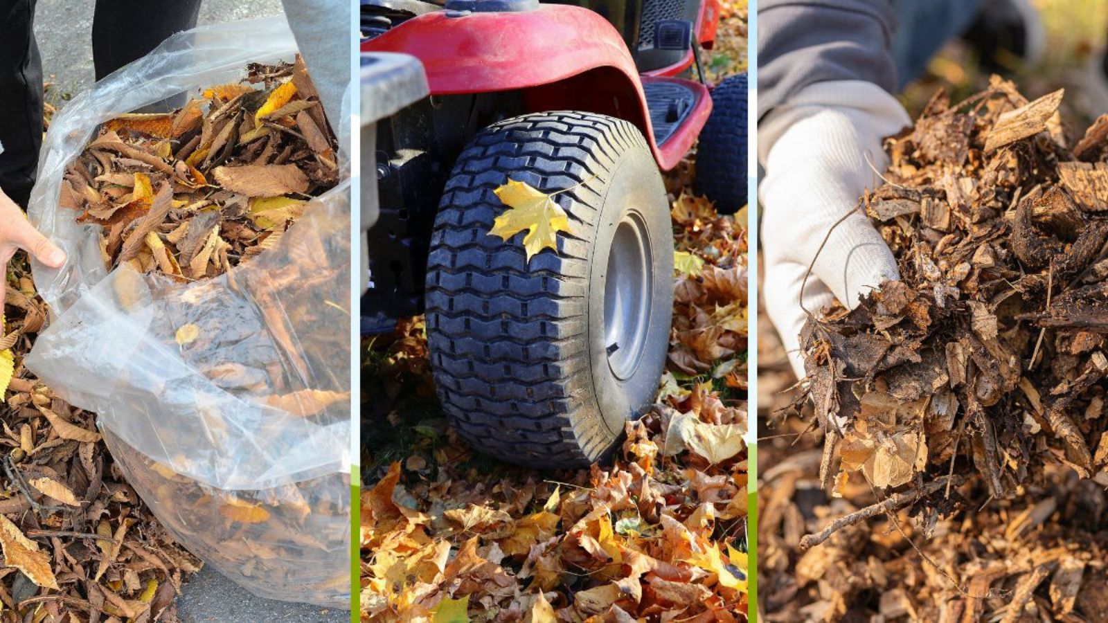 fall leaf disposal in Omaha